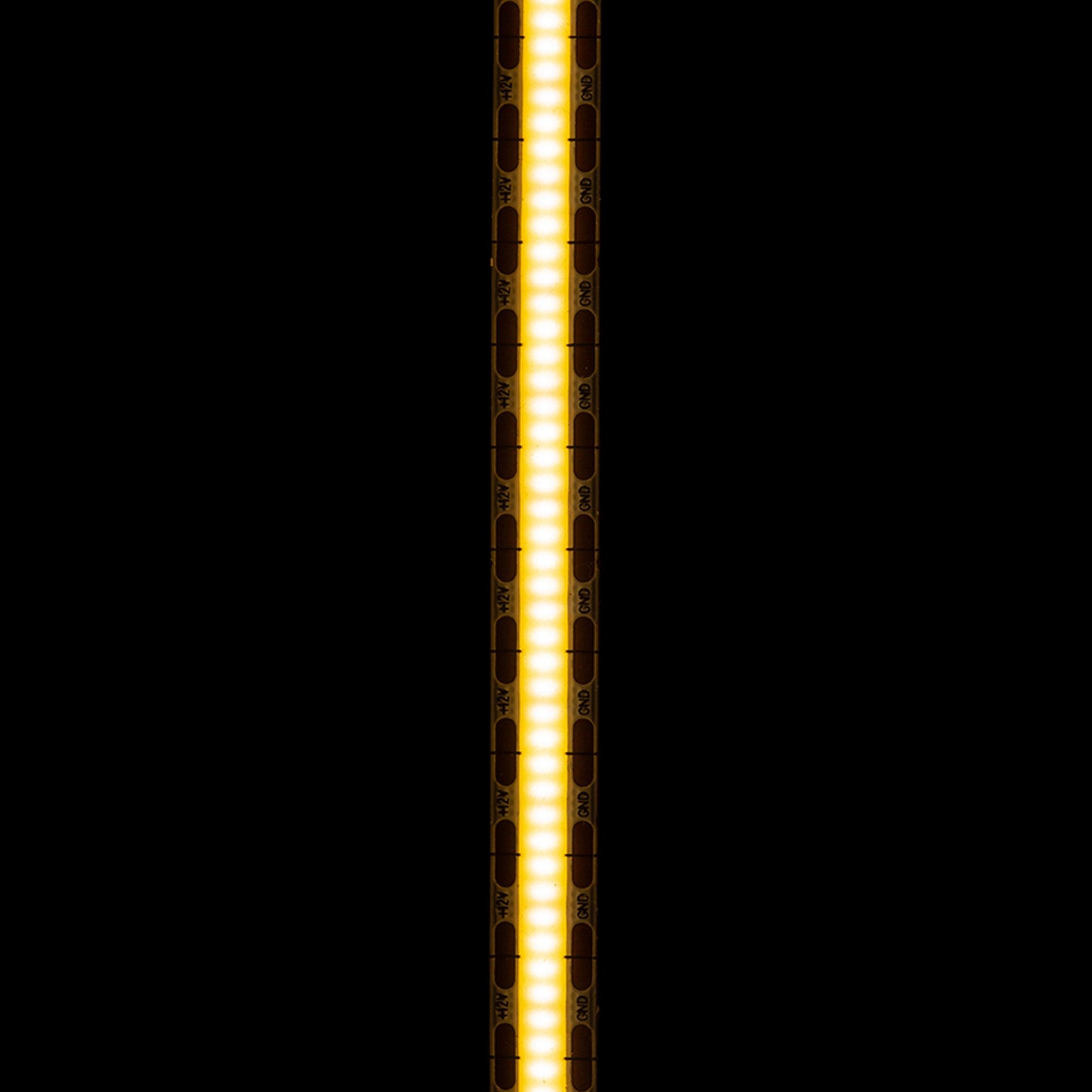 RENDL LED-strip LED STRIP ORION LED-strip 5m 12V= LED 50W 120° 3000K G13798 3