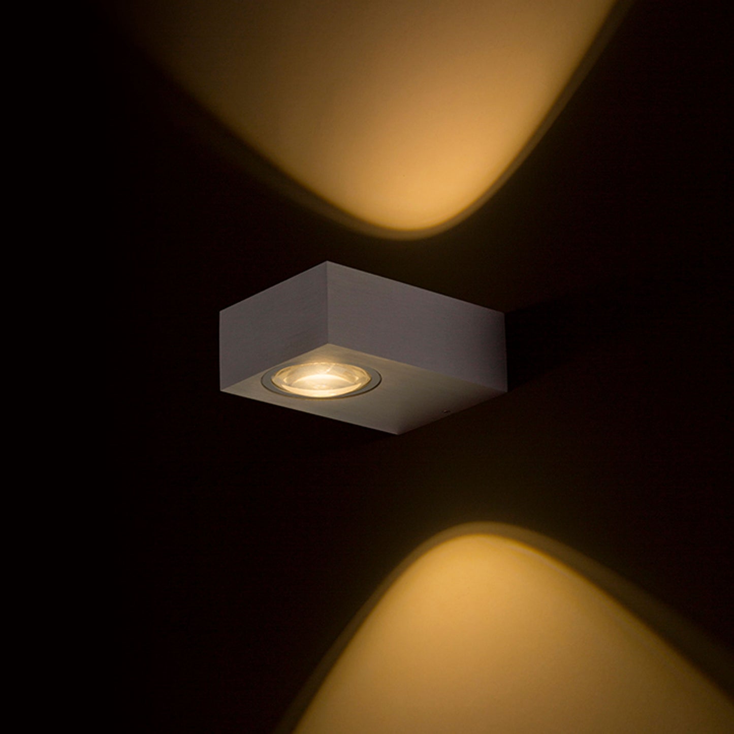 RENDL outdoor lamp KORSO II wall brushed aluminum 230V LED 2x3W 120° IP54 3000K R12831 2