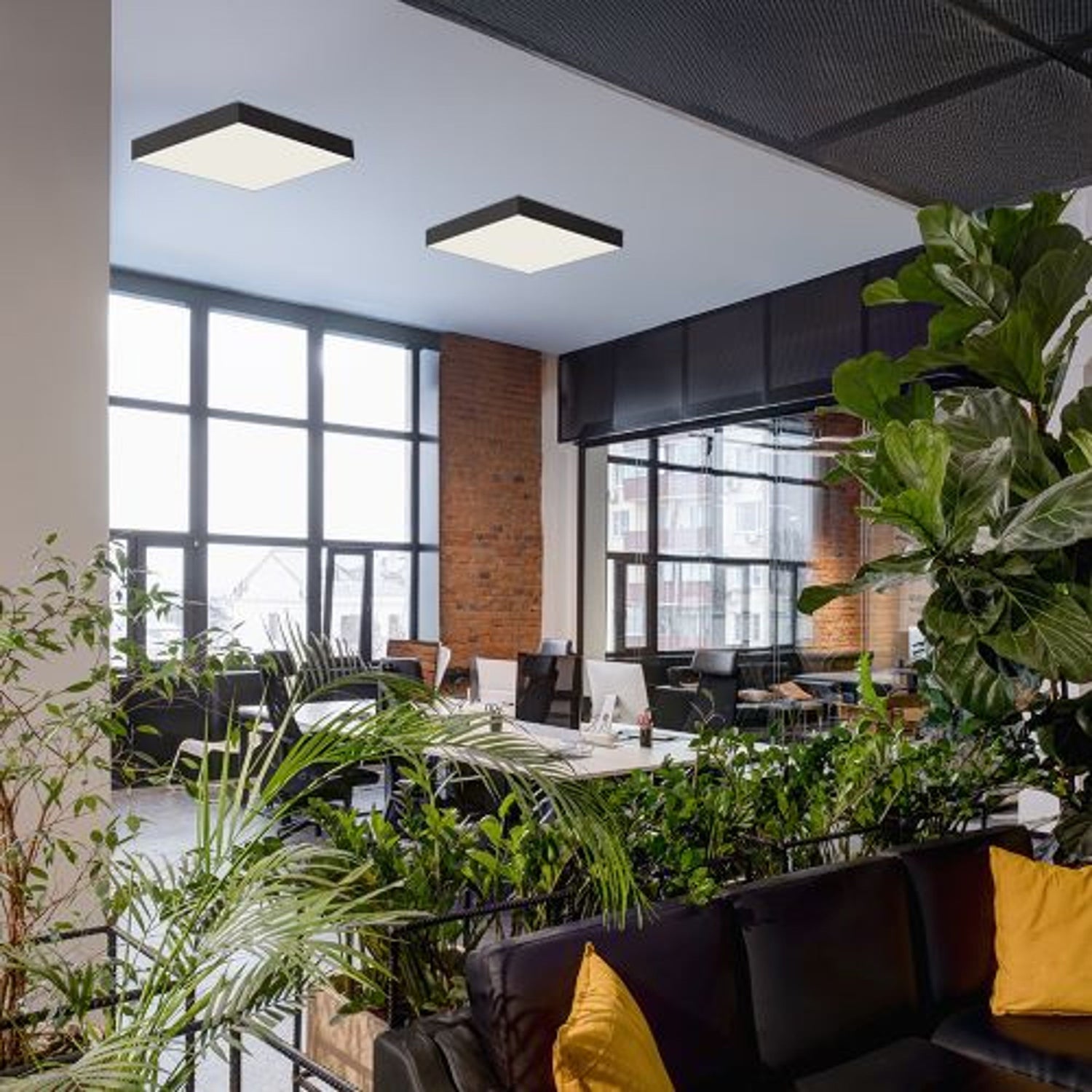 Φωτιστικά οροφής σαλονιού