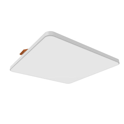 BJORK SQ 20