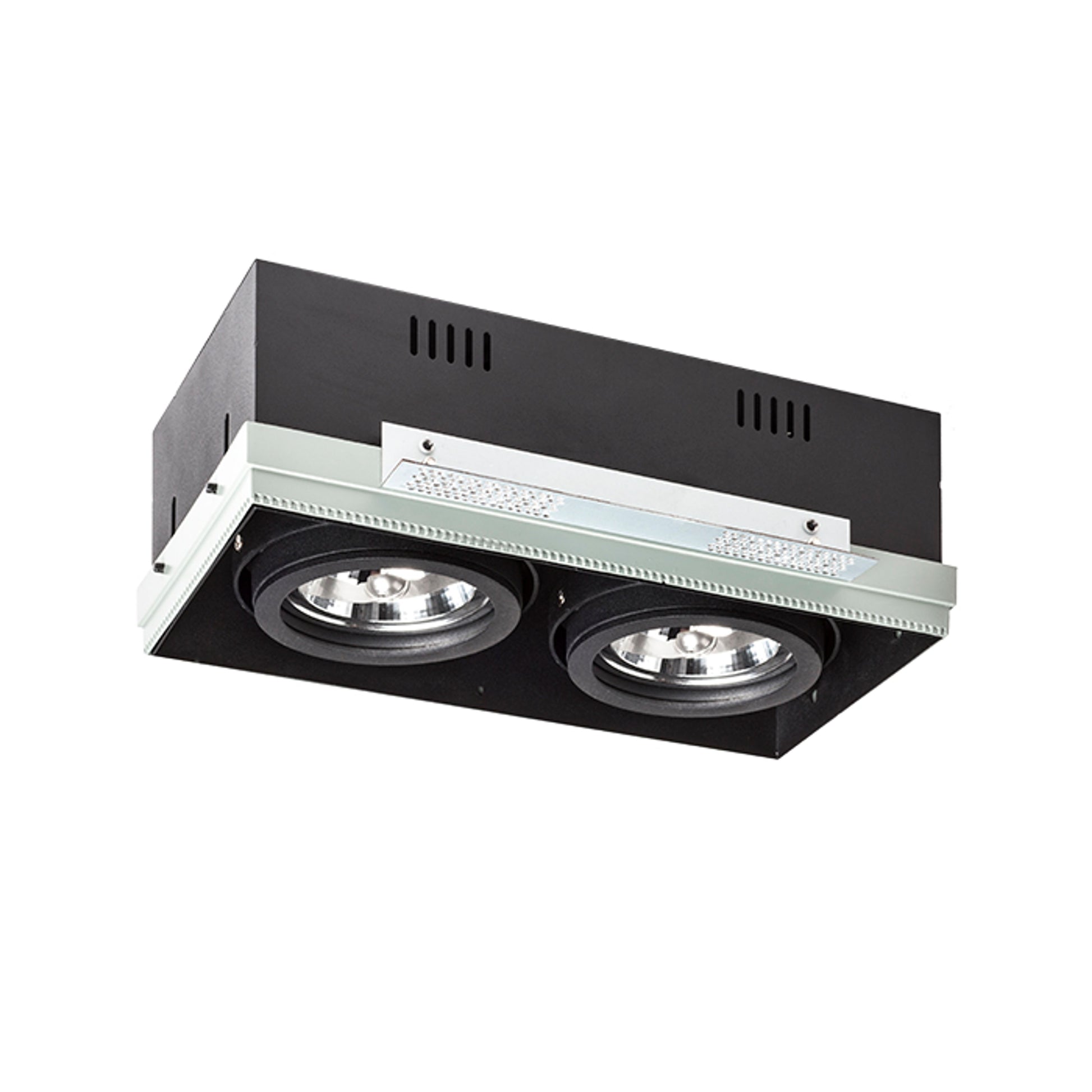 RENDL recessed light ELECTRA II  black  12V LED G53 2x15W R12051 3