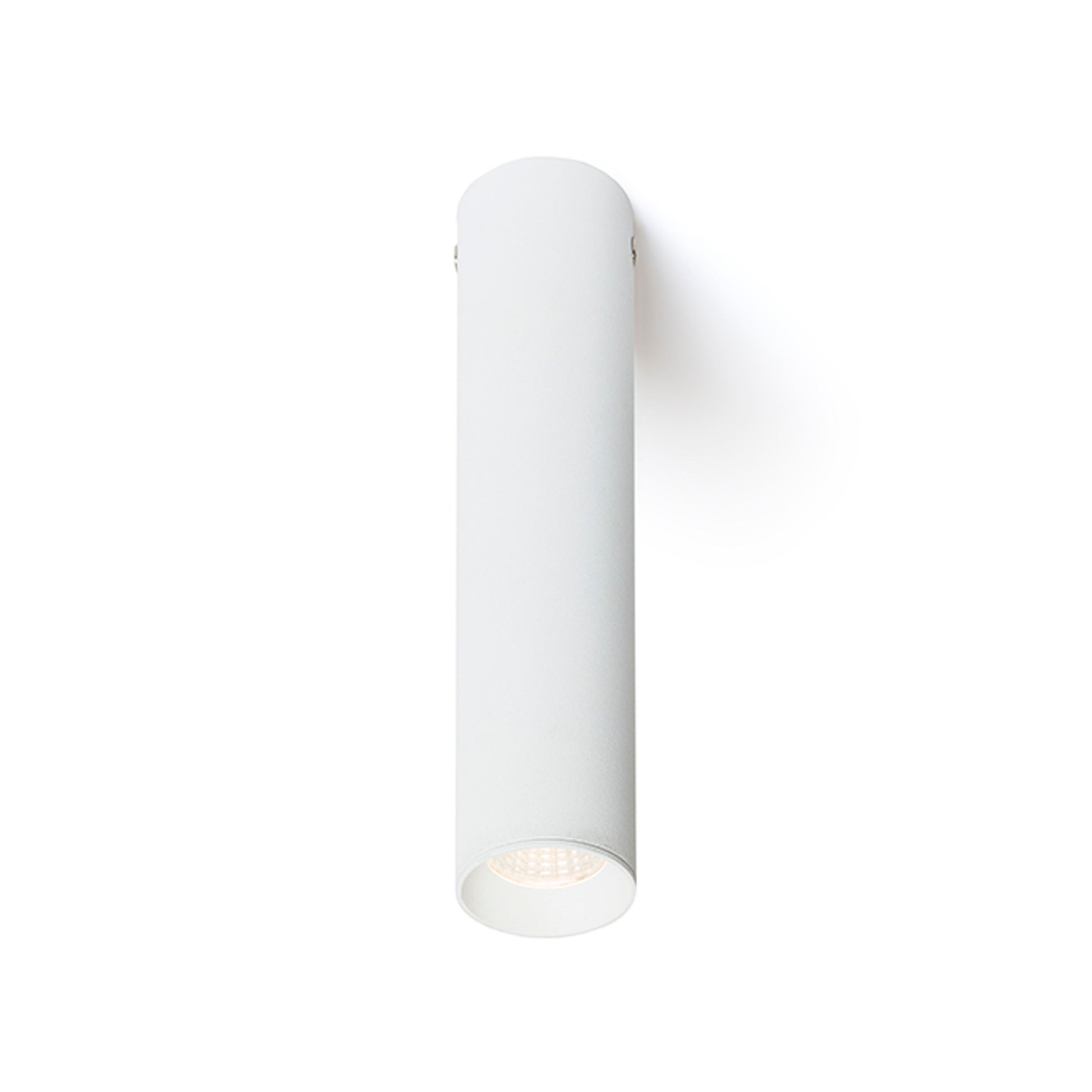 RENDL surface mounted lamp RIGA 18 ceiling white  230V LED 4W 38°  3000K R12450 1